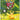 30th Celebration Mini Tin [Day Pikachu]