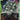 Jegan (GD05-027) - Freedom Ascension (C)