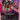 Neros Gundam (GD05-043) - Freedom Ascension (C)