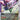 Destiny Gundam (GD05-055) - Freedom Ascension (R)