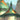 Archazia's Island Puzzle Insert (Version 1 of 2) (Middle Left) [Archazia's Island]