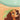 Archazia's Island Puzzle Insert (Version 2 of 2) (Bottom Left) [Archazia's Island]