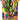 Image for Delta Reign Sleeved Booster Pack - Pokemon