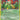 Bellossom - (3/115) - EX Unseen Forces - (Holo Rare)
