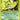 Celebi (16) - (16/64) - Neo Revelation - (Rare)