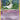 Gardevoir - (7/109) - EX Ruby and Sapphire - (Holo Rare)