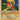 Shuckle - (HGSS15) - HGSS Promos - (Promo)
