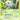 Silcoon - (46/107) - EX Deoxys - (Uncommon)