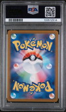 PSA 10 - Night Wanderer - Zorua