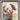 PSA 10 - Hidden Fates - Cynthia #SV82