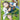 Professor Birch's Observations (159) (Full Art) - (159/160) - XY - Primal Clash - (Ultra Rare)