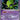 Celebi ex (Holo) - (017/017) - POP Series 2 - (Ultra Rare)