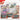 Scarlet & Violet: Temporal Forces - 3-Pack Blister (Cyclizar)