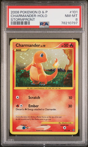 PSA 8 -  Stormfront - Charmander Holo #101