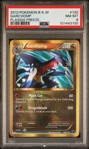 PSA 8 - Plasma Freeze  - Garchomp