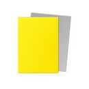 Dragon Shield: Dual Matte Sleeve - Dual Yellow & Silver 100Ct