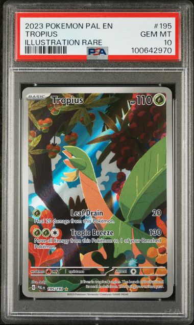 PSA 10 - Paldea Evolved - Tropius