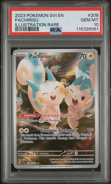 PSA 10 - Scarlet & Violet Base - Pachirisu