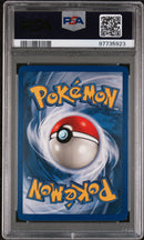 PSA 8 - Jungle 1st Edition - Pidgeot Holo