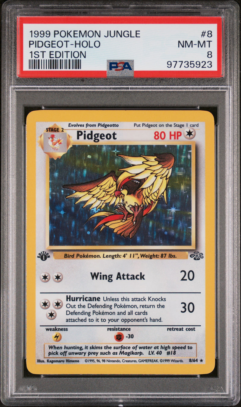 PSA 8 - Jungle 1st Edition - Pidgeot Holo