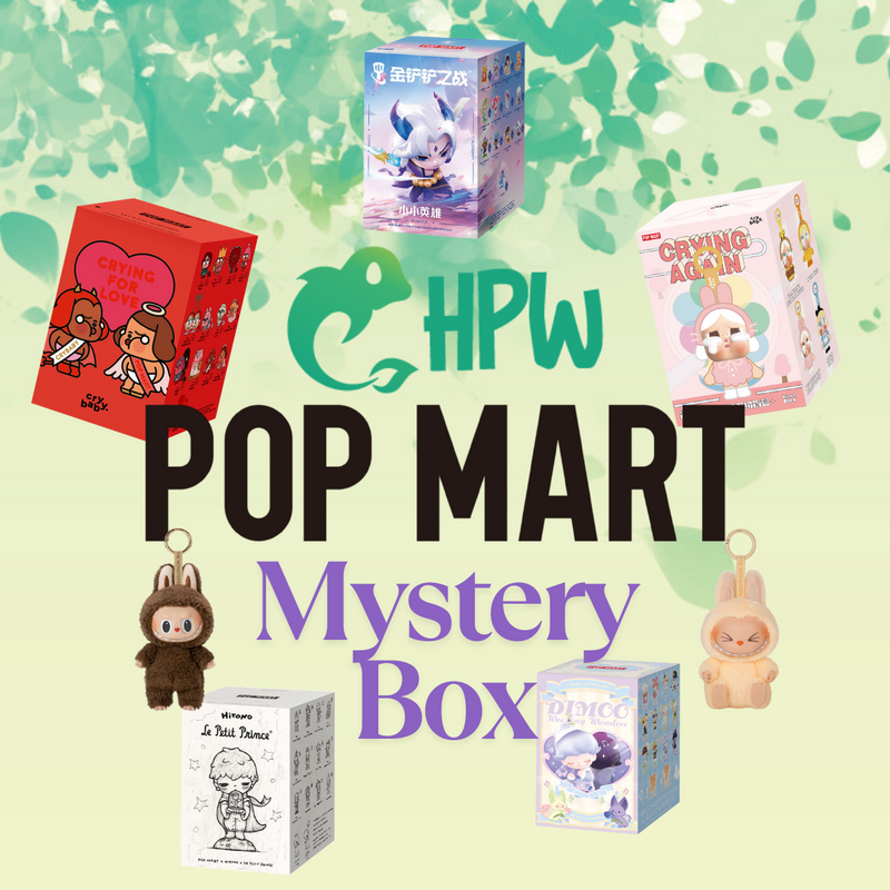 POPMART Mystery Box