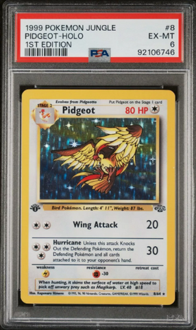 PSA 6 - Jungle 1st Edition - Pidgeot Holo #8
