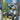 Pokemon GO - V Battle Deck (Melmetal V)