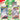 Back to School Eraser Blister 2023 (Smoliv)
