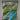 PSA 10 - Pokemon 151 - Ivysaur #167