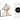 Scarlet & Violet: Prismatic Evolutions - Elite Trainer Box Case