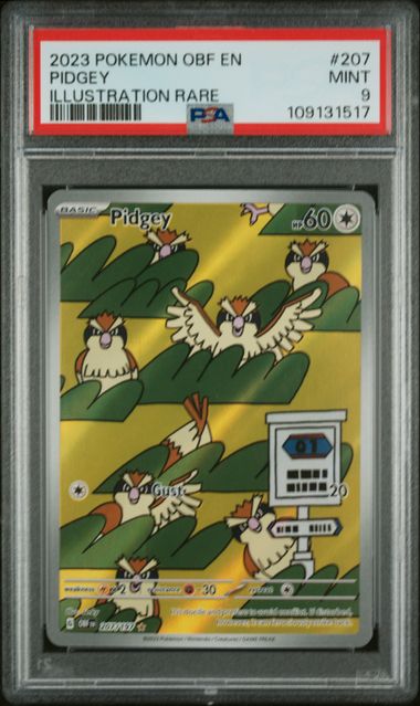PSA 9 - Obsidian Flames - Pidgey