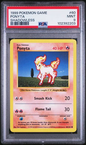 PSA 8 - Ponyta Shadowless #60 - 1999 Pokemon Base