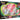 Sword & Shield: Battle Styles - Battle Box (Venusaur VMAX)